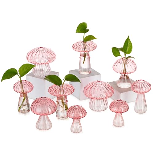 Glasseam Mushroom Plant Propagation Stations: Pink Glass Terrarium Jar Set