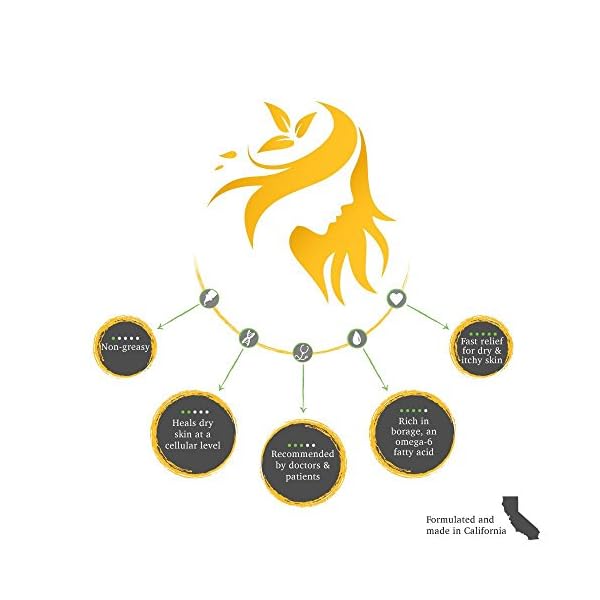 ShiKai Borage Therapy - Daily Facial Moisturizer, 3 Ounces (Pack of 2)