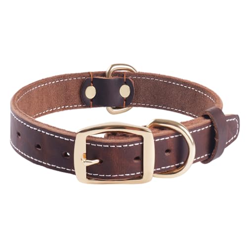 【Estetica】 Design classico ed elegante con cuciture pulite e tonalità marroni senza tempo. Perfetto per passeggiate informali, sessioni di addestramento o per migliorare lo stile del tuo animale domestico in occasioni speciali.