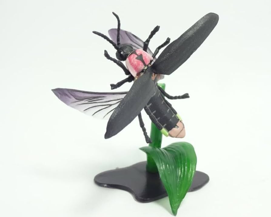 チョコエッグ チョコQ chocoQ 松村しのぶ 亀 フィギュア Amazon.co.jp: ゲンジボタル 海洋堂 週刊日本の天然記念物