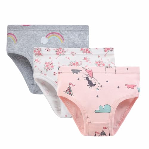 Ropa interior de esquí para niñas, niños, niñas, ropa interior linda estampada, pantalones cortos, ropa interior, 3 unidades (1) bragas para niña, gris, 18-24 meses