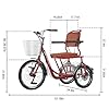 Vepnby Tricycle for Adults, 3 Wheel Bike, Womens Bike, Thick Tires High Load Capacity Adjustable Seats Dual Brakes Elevator Access for Men Women Seniors Shopping Picnic Beach(Black) #1