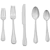 Amazon Basics 20-Piece Stainless Steel F...