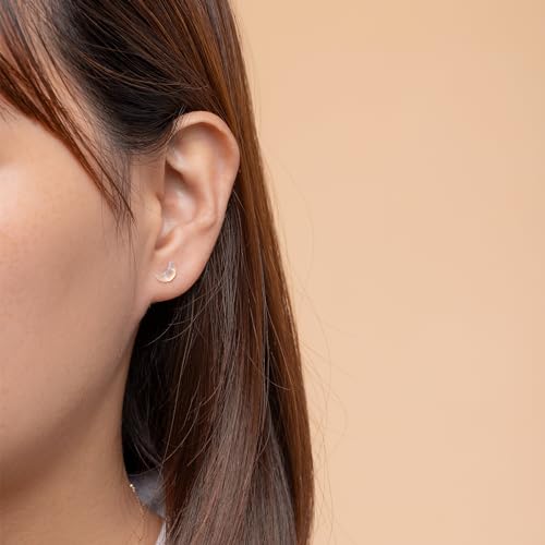 Plastic Earrings,KMEOSCH 4 Pairs Cute and Lightweight Plastic Stud Earrings for Sensitive Ears (Fox & Rose, Stars & Moon)3