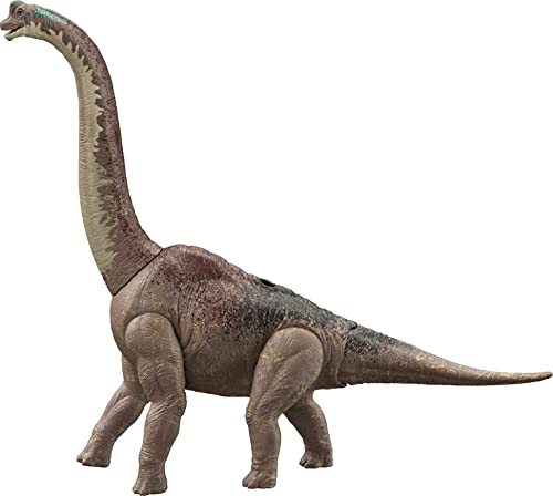 Jurassic World Dominion Brachiosaurus Figura de acción dinosaurio grande articulado, juguete +4 años (Mattel HFK04)