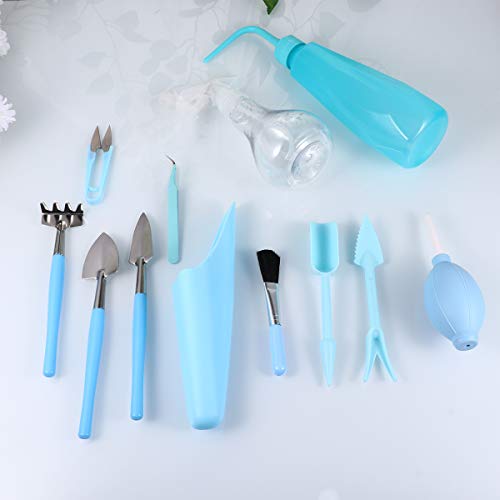 Ferramentas de cultivo de plantas suculentas duráveis Cabilock 12 peças Ferramentas de cultivo de pl