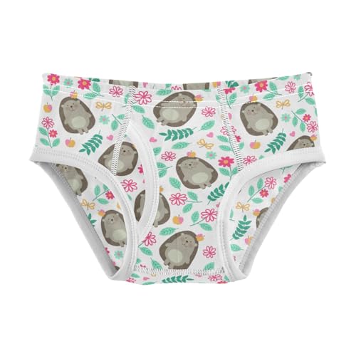 Boys' Exclusive Briefs Toddler Underwear 95% Combed Cotton Boxerbriefs 2T Hedgehog and Flower Pattern 5