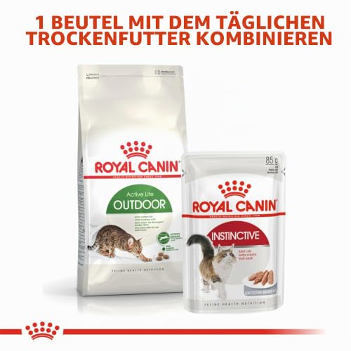 ROYAL CANIN Outdoor | 400 g | Trockenfutter für Katzen | Für ausgewachsene Katzen (vom 1. bis zum 7. Lebensjahr) mit häufigem Freilauf und regelmäßiger Bewegung