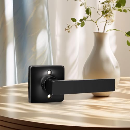 Image of GOBEKOR 1 Pack Black Lever Door Handle Dummy Square Door Levers Dummy Closet Door Handles for Pantry Straight Lever Non-Turning Lock