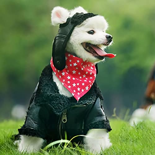 ITODA Mütze Hund Trappermütze Winter Hundemütze mit Ohrlöchern Fliegermütze Haustier Wintermütze Verstellbar Hundecap PU Leder Hundehut Warm Windschutz Haustiermütze Outdoor Fellmütze Welpen Katze