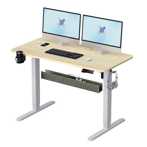 Image of Electric Standing Desk,48x24 Inch Adjustable Height Sit Stand Desk with Cable Management Tray,with Memory Presets Ergonomic Computer Desk for Home Office /Gaming /Workstation,Light Wood