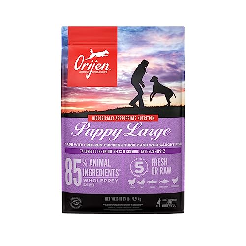 ORIJEN Grain Free High Protein Dry Dog Food Puppy Large Recipe 13lb Bag