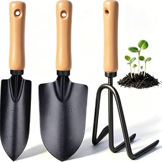 SAUNUOWL kit 3 outils à main en fer et manche bois