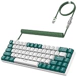 YINDIAO T8 60% Gaming Keyboard,68 Keys Compact Mini Wired Mechanical Keyboard with 18 Chroma RGB Backlit,Blue Switch,USB C Coiled Keyboard Cable,for PC,Laptop,Mac,PS4,XBOX-Green