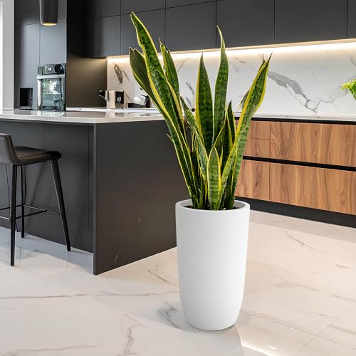 Image of YUCCABE ITALIA FOXB TPC 24 INCH Pots for Plants Highly Durable Polymers Lightweight Indoor Outdoor Plant Pots, Flower Pot Gamla Tree Planter Container Planters for Living Room, Balcony, Garden