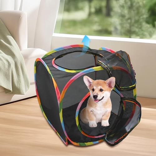 Cube de jeu pour chat extérieur pliable avec cachette spacieuse pour lapin - 3