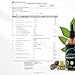 Zenmen Organic Green Black Walnut Hull Tincture - Highly Potent Formula, Source of Antioxidants - 2.37 fl oz / 60ml, Vegan, Manufactured in The USA