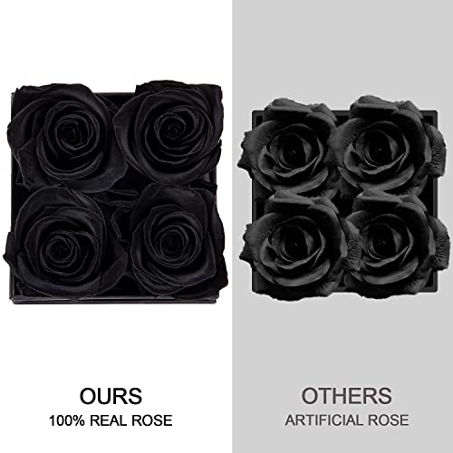 Rosenbox Impouo mit 4 konservierten Infinity Rosen