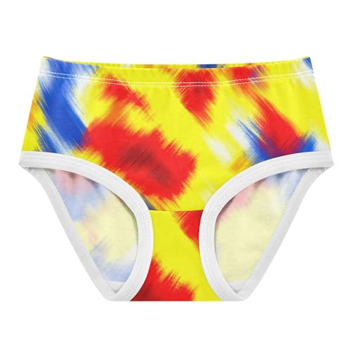 Abstract Colorful Gradient Panties for Girl Toddler Girls Underwear Cotton Print Briefs Girls Undies 2t