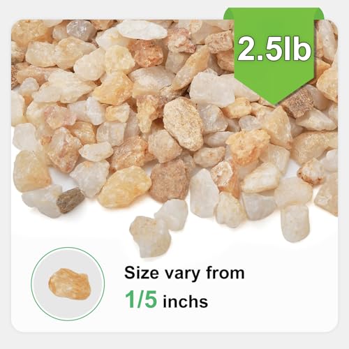 Image of 2.5 lbs Coarse Sand for Plants, 1 /5 Inch Horticultural Sand for Succulents, Desert Silica Sand for Cactus, Vases, Aquariums, Terrarium, Fish Tank, Drainage Gravel for Potted Plants, Bamboo, Crafts