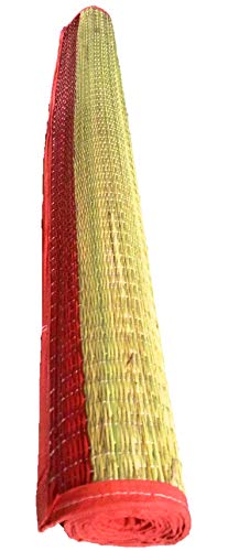 Ash Mats Cool Grass Floor Mat ( Ivory & Red , 4 X 6 ft ).