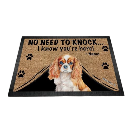 Ganshan Bi Personalized Door Mat with Watercolor Dog Cavalier King Charles Spaniel Welcome Floor Mat No Need to Knock I Know You're Here Gift for Dog Lover 27.5