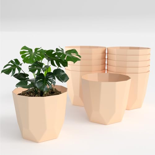 Image of YUCCABE ITALIA SHERA Hexa Plastic Planter Pot for Plants Decorative Flower Pot UV Protected Lightweight Indoor Outdoor Gamla for Home Decor, Balcony, Garden & Living Room (Beige, 6 INCH - 12 Pcs)