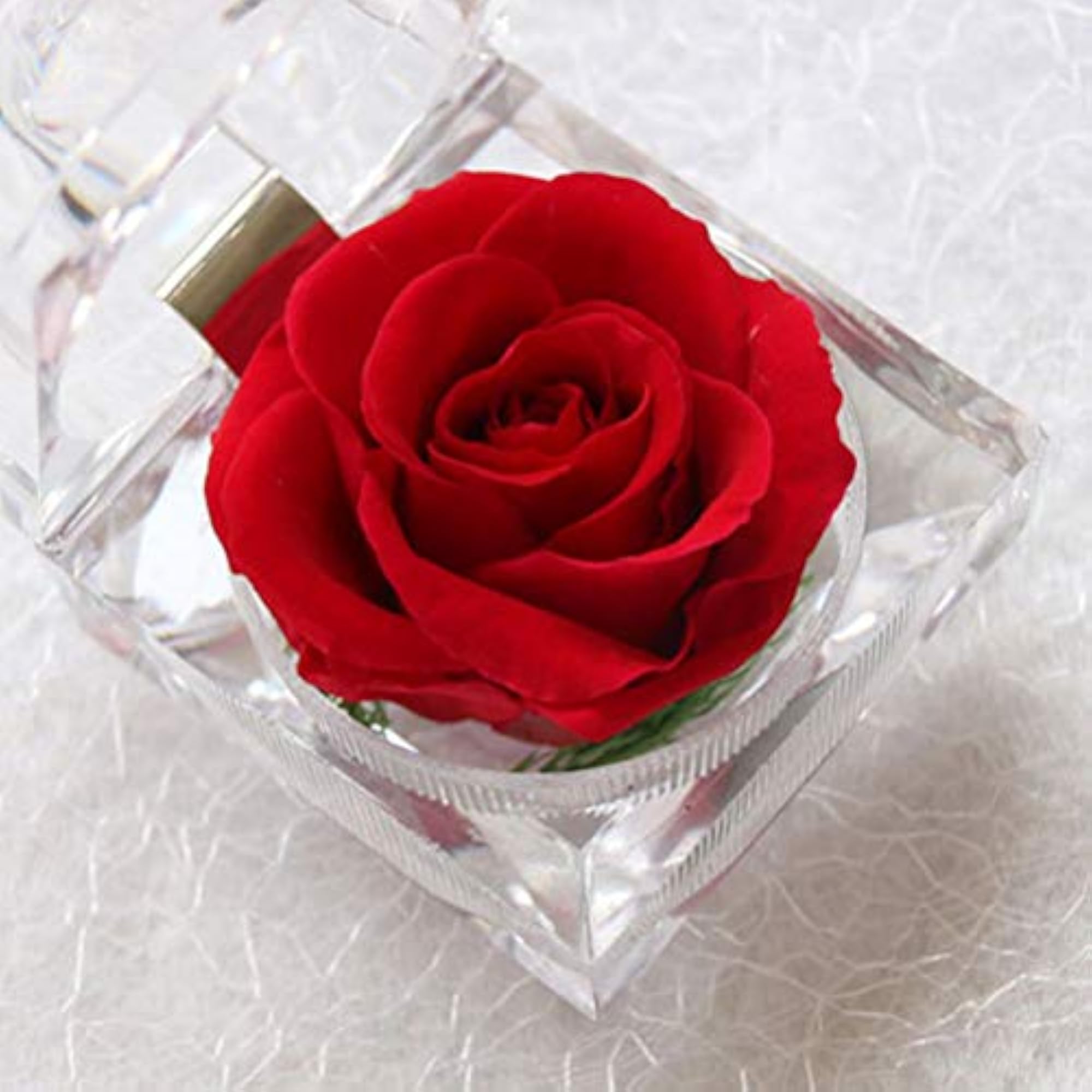 Preserved Flower Acrylic Gift Box Ring Case Gift