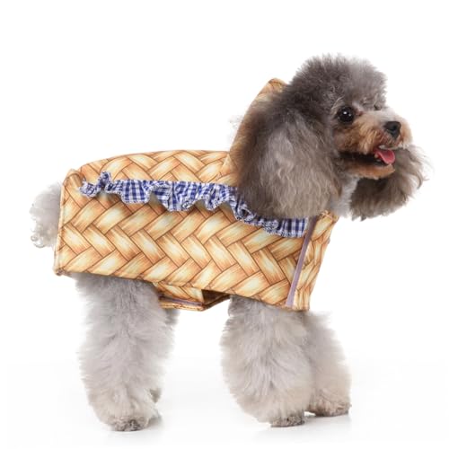 Disfraz divertido de Halloween para perro talla M