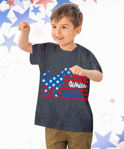 Image of Kids Independence Day Shirt 5-6 Years Old Toddler Dinosaurs 4th of July T-Shirt Outfit Short Sleeve Kid Boys American Flag Tee Grey for 4th of July