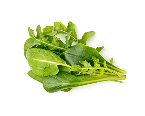 Click and Grow Smart Garden Salad Mix, 9-Pack