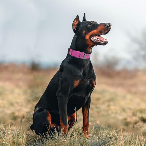 Taktisches Hundehalsband-Militärisches Hundehalsband verstellbares Nylon breit Trainings Halsband und strapazierfähige Metallschnalle Halsband für Mittlere Große Hunde (Rosa, L)