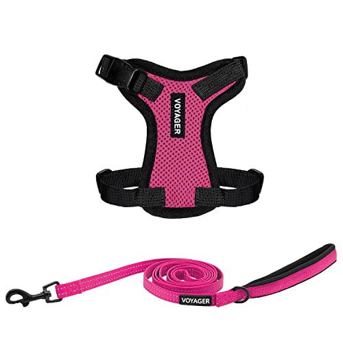 Image of Best Pet Supplies Voyager Step-in Lock Pet Harness w Reflective Pet Leash Combo Set with Neoprene Handle 5ft - Supports Small, Medium and Large Breed Puppies /Cats - Fuchsia /Black Trim, XXXS