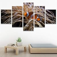 SIGNWIN 5 Panel Canvas Wall Art Group Jellyfish Marine Life Multicolor Photography Realism Tropical Ultra Whimsical for Home Decorations Ready to Hang - 60