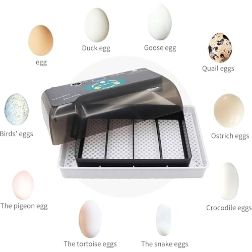 Incubadora Portátil De 12 Huevos Con Control Automático De Giros Y Temperancia.Bajo Ruido, Construcción De ABS Seguro, Llenado De Agua Externa Para Una Alta Tasa De Éxito De La Escotilla.Ideal Para El