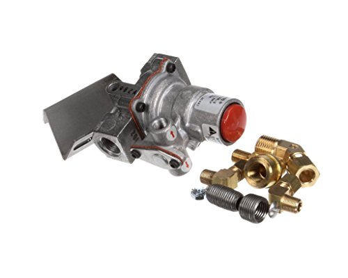 Vulcan Hart 00-498344-0000A Pilot Safety Valve Replacement Kit, 720719