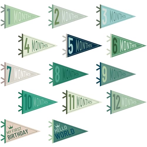 Image of VitalCozy 14 Pcs Baby Milestone Pennant Signs Monthly Milestone Banner Flags Pennant Triangle Banner Age Flag Signs for Boy Girl Newborn Birthday Party Decor (Morandi)