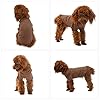 Lovelonglong Pet Clothing Dog Costumes Basic Blank T-Shirt Tee Shirts for Small Dogs Coffee L #3