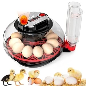Incubator with Automatic Egg Turning and Humidity Control, Incubators for Hatching Eggs, Chicken, Ducks, Goose, Pigeon, Quail, Parrot Incubator for Farm, Lab, Science Classroom, Home