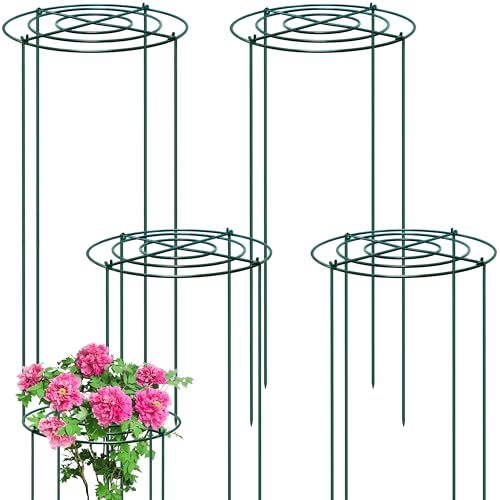 4 Stück Pflanzenstützen Rund,35x80cm Pfingstrosen-Käfige und Stützen mit gekreuzten konzentrischen Rahmen, grüne Metallstützen für Garten mit 4 Beinen, Blumenstützringe für Pfingstrose, Rose