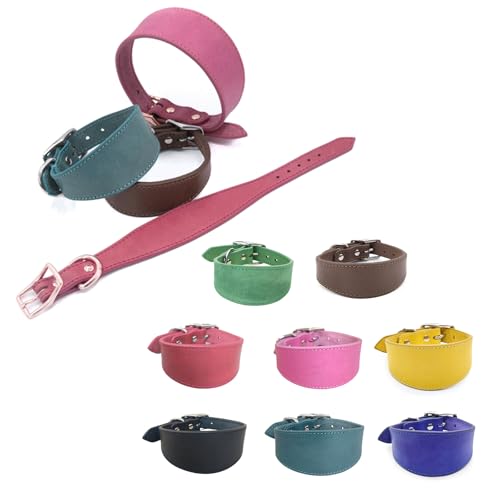 Navna Breit gepolstertes Hundehalsband, echtes Leder, Welpenhalsband für Lurcher, italienische Windhunde, bequemes Haustierzubehör, Whippets, Halsband, Lurcher, Windhunde