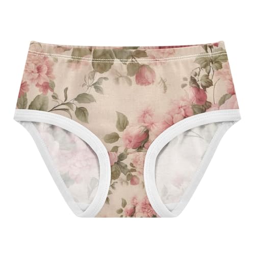 Vintage Rose Pink Toddler Girl Underwear, Kids Underwear, 2T–8 Years