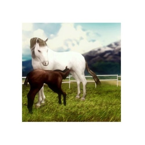 Mon Poulain 3D 3DS Neuf - vue 7