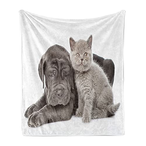 Ambesonne Dog and Cat Throw Blanket, Neapolitan Mastiff and a Grey Kitten Looking at Camera, Flannel Fleece Accent Piece Soft Couch Cover for Adults, 50