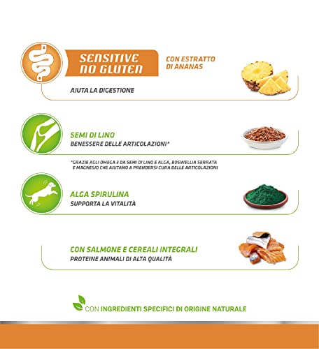 Natural Trainer Sensitive No Gluten - Salmone