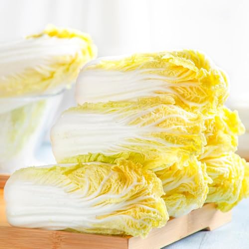 semi di pak choy di interni rari resistenti semi di ortaggi biologici giardino balcone 120pcs