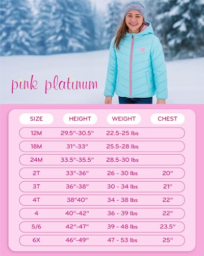 Image of Pink Platinum Girls Snowsuits - 2 Piece Waterproof Toddler Winter Jacket and Ski Pants - Winter Clothes for Girls (2T-16)