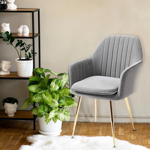 Roxigo Velvet Dining Chairs, Golden Metal Legs Chair for Living Room Bedroom Restaurant, Cushion Seat Chair (Dark Grey)