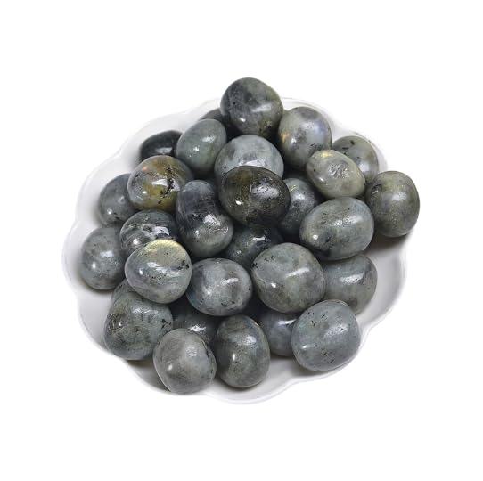 Namzi 2 pieces of natural gray raw polished stone, DIY handmade accessory natural, potted plant, fish tank decoration stone 30-40mm