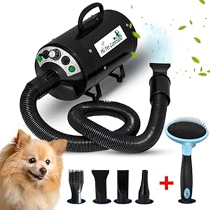 Boyanenes Profi Krallenschere für Hunde und Katzen mit Nagelfeile – Edelstahl Krallenzange Hohe Qualität Krallenpflege Schneider für Haustiere nagelknipser groß Mit Sicherheitsschutz – Safety Guard